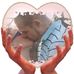 Daniel Ritenour - Facebook