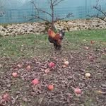 Daniel Ritzenthaler - @danielritzenthaler - Instagram