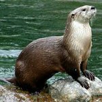Daniel Glenn Rivenbark - @danielrivenbark - Instagram