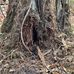 Daniel Rivenbark - Facebook