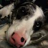 daniellerivenbark - @daniellerivenbark - TikTok