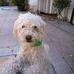 Daniel Horacio rivero - Facebook