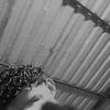 Daniel Rivero - @daniel.rivero929 - TikTok