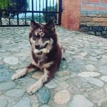 Daniel Robayo Villamil - @danielrobayo100 - Instagram