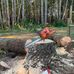 Daniel Roberge - Facebook