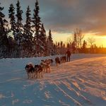 Daniel Roberge - @roberge30 - Instagram
