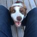 Daniel Roberge - Facebook