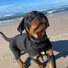 danielroby248 - @danielroby248 - TikTok