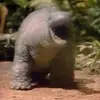 danielrochelle0 - @user0005200000000 - TikTok