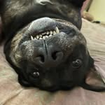 Daniel Rochester - @djrochester - Instagram