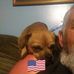 Daniel Rochester - Facebook