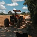 Daniel Rochinski - @daniel_rochinski - Instagram