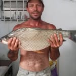 Daniel Rodolfo - @danielrodolfo62 - Instagram