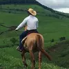 Daniel Rodolfo - @danielrodolfo92 - TikTok