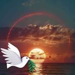 Daniel Rouel - Facebook