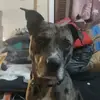 danielscroger - @daniel.scroger6 - TikTok