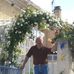 Daniel Rogier - Facebook