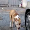 danielrohena501 - @danielrohena501 - TikTok