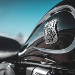 Daniel Rohner - @daniel.ro55 - Instagram