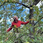 Daniel Rohrer - @damniel_rohrer - Instagram