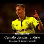 Daniel Roke Turral - @daniel_roke7 - Instagram