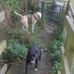 Daniel Rolfe - Facebook