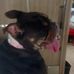 Daniel Rolfe - Facebook