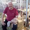Daniel Rollet822 - @r.daniel50 - TikTok