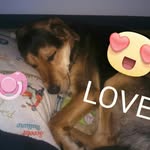 Daniel Romanowski - @szymixn7 - Instagram