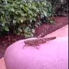 Daniël Crombach - @daniel.crombach - TikTok