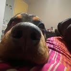 Daniel Rombach - Facebook