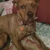 Daniel Romines - @daniel.romines - TikTok