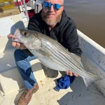 Daniel Rominger - @danielrominger - Instagram