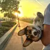 Romm_Daniel - @Romm_Daniel - TikTok