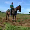 Daniel🤴 - @daniel.rondon164 - TikTok