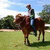 Daniel Tonelli - @daniel.tonelli4 - TikTok