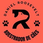 Roosevelt adestrador - @danielrooseveltadestrador_ - Instagram