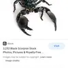 Daniel Roper - @danielroper8797 - TikTok
