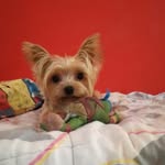 Daniel Rosano - @daniel.rosano.73 - Instagram