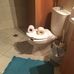 Daniel Rosborough - Facebook