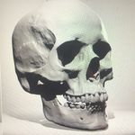 Daniel Roscioli - @macabre_artist - Instagram