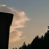 juliaaa - @danielrosensteine - TikTok