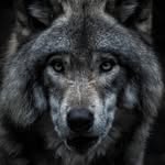 Daniel Rosiek - @danielrosiek6 - Instagram