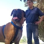 Daniel Rosselot - @rosselotdaniel - Instagram