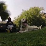 Daniel Rosselot Mackenney - @daniel.rosselot - Instagram