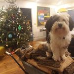 Daniel Rowan - @daniel.rowan.393 - Instagram