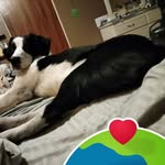 Daniel Rowan - @danielrowan54 - Instagram
