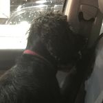 Daniel Rowson - @official_white_boy67 - Instagram
