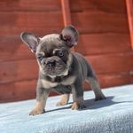 Daniel Royle - @royle.daniel - Instagram