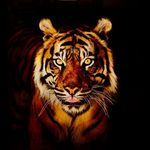 Daniel Rozek - @rozek7636 - Instagram